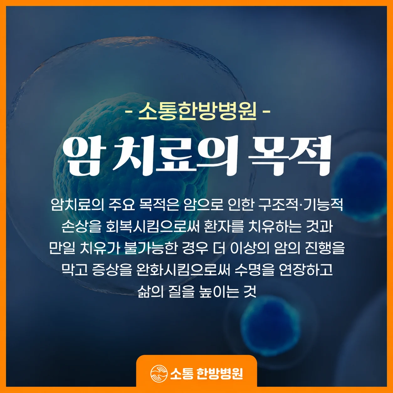 왜 양방과 한방을 함께 살펴보는 진료 환경을 마련했을까요?